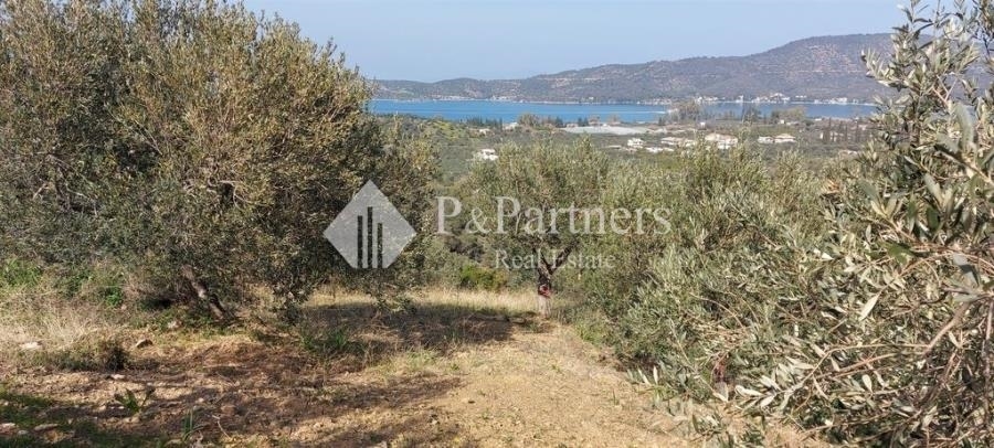 (For Sale) Land Agricultural Land  || Piraias/Troizinia - 3.310 Sq.m, 33.000€ 