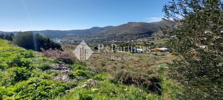 (For Sale) Land Agricultural Land  || East Attica/Keratea - 12.500 Sq.m, 180.000€ 